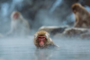 入浴頻度を見直して臭い防止するためのポイントは？