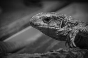 第一印象を良くするためのコツは何ですか？