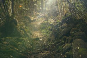 体臭対策に効果的な男性向けサプリはどれですか？