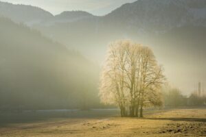 清潔感を保つための朝のルーティンは男性にどのように役立つ？