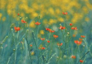 妻に指摘された体臭を改善するための効果的な方法は？