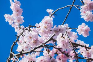 育児中のパパが知っておきたい匂い対策は？