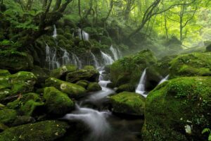 男の身だしなみの基本とは何か？